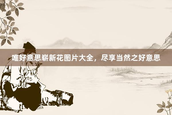 唯好意思崭新花图片大全，尽享当然之好意思