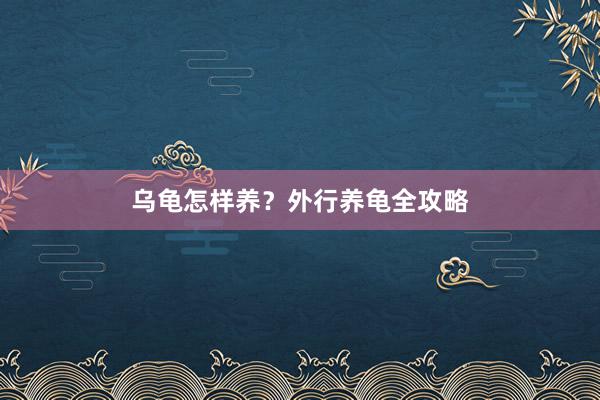 乌龟怎样养？外行养龟全攻略