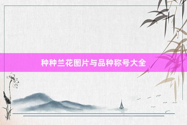 种种兰花图片与品种称号大全